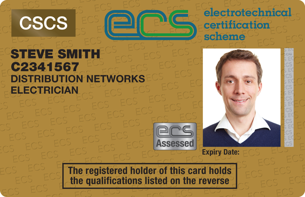 Distribution Networks Electrician Image